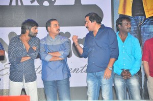 Krishna Gadi Veera Prema Gaadha Audio Launch